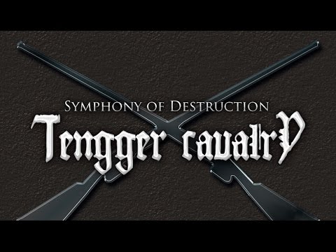 Tengger Cavalry - Symphony of Destruction (Megadeth Cover)