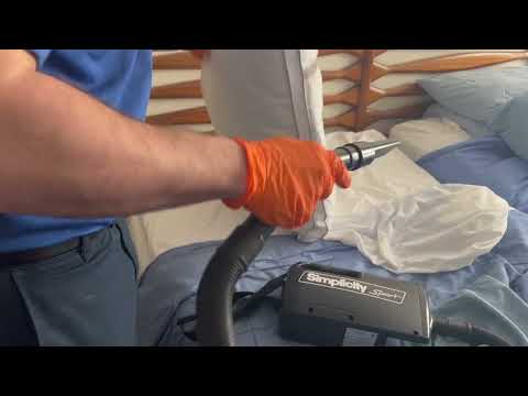 Pillow & Blankets Full of Bed Bugs in Lanoka Harbor, NJ