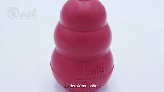 Jouet Kong classique pour chien
