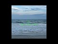 Neu Roses Transgessor S Song X Original Recording