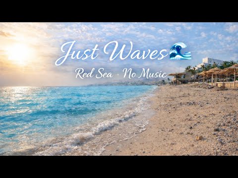 Footsteps on the Red Sea Shore|ASMR Waves & Pebbles Walking the Red Sea Beach#RedSea #ASMR#nomusic 