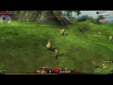 Using Profession Mechanic Skills for Ranger Guild Wars 2
