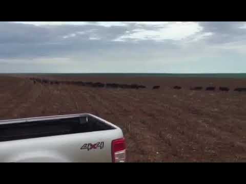 Pensa numa porcada bruta ai moçada 👏