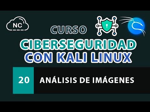 Curso de Ciberseguridad con Kali Linux Análisis de Endpoints de API
