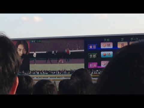 天皇賞秋☆ダンビュライト競争除外に