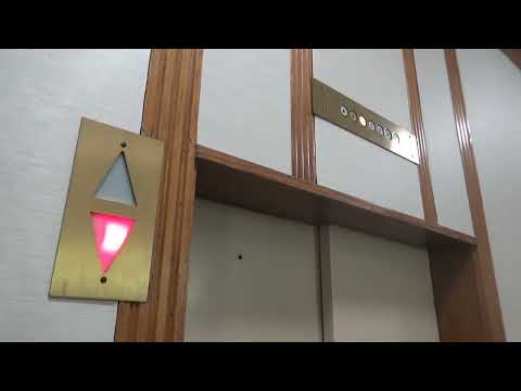 Amazing Schindler Haughton Traction Elevators @ Forsyth Building - Oak Park, IL (Solo Take)