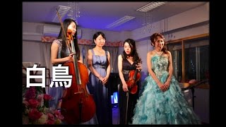Download lagu サンサーンス：白鳥　平沼理沙（チェロ） 塚越裕子（ピアノ） mp3
