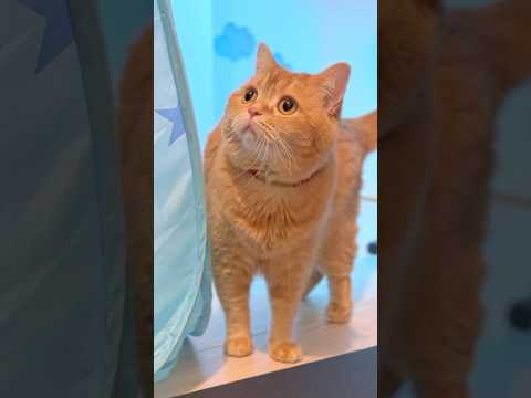 The Connecting Miracle ❤️‍🩹🛝 #squidgame