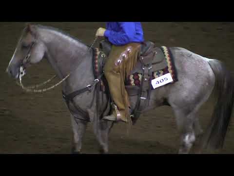 Mr Whiskers One Time & Mark Sigler Bridle Class ECRCHC 2019