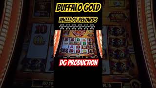 🚨 Huge Win Buffalo Gold Wheel Of Reward Multiplier Bonus Spins #slot #casino #yaamava #buffalo
