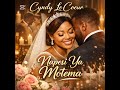 Fally Ipupa And Cyndy Le Coeur Napesi Ya Motema Wedding Love Song Official Video