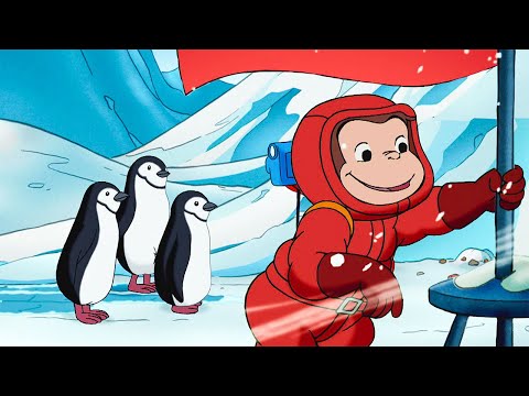 Gdzie się podziały pingwiny? | Ciekawski George | Bajki Po Polsku