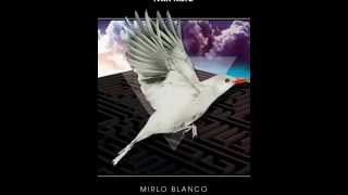 Ivan Nieto - Bipolar con Duddi Wallace (Mirlo Blanco)