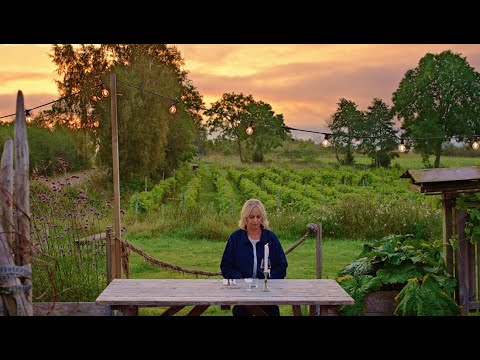 Stanna i Falkenberg om det ska vara på det viset