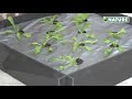 borderrand 100x100x19 cm 4 stuks | video 1