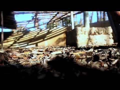 Zaja y Mazhiel - That's Why (Video Oficial)