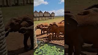 Download lagu Full vlog on my latest upload mp3