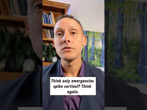 Think only emergencies spike cortisol? Think again