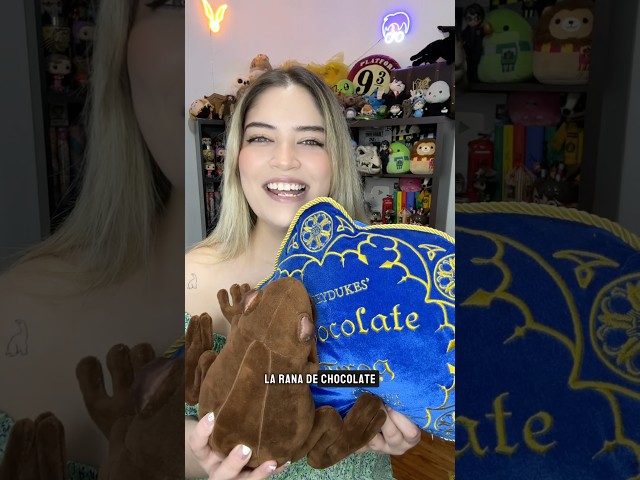 Vídeo relacionado con Harry Potter Bragas Paquete de 5 Hogwarts Multicolor 6-7 Años