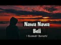 Nawan Nawan Beli Wajid Ali Slowed Reverb New Latest 2024 Song Slowed Song Wajid Ali Music