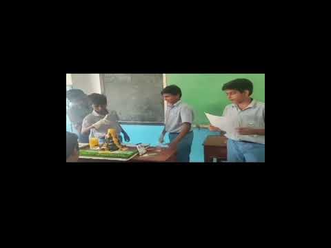 Class IX geography activity