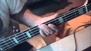 Do You Really Mean Goodbye (Bass Cover)