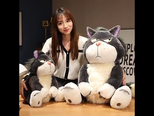 Vídeo relacionado con Peluche de Gato Lucifer de 30 a 80 cm, Suave y Acogedor para niños y Adolescentes, muñeco Lavable, compañero de Peluche para niños y niñas para Navidad y cumpleaños,Grey-30cm