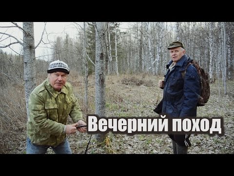 Охота на вальдшнепа! Тяга. (лес, охота, вальдшнеп)