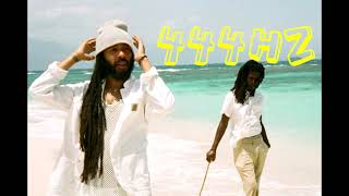 NO GUARANTEE - [444HZ] - 432hz Protoje ft. Chronixx (Official Audio) A Matter Of Time