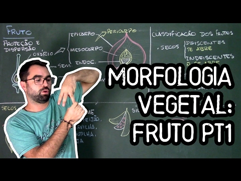 Organologia do Fruto (Morfologia) pt1 - Aula 20: Botânica (Prof. Guilherme)