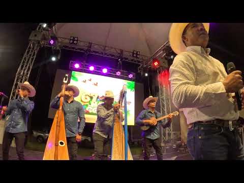 🎤🔥 Wilmer Tovar encendió las fiestas de Hato Corozal 2024 | Joropo que se siente en el alma llanera