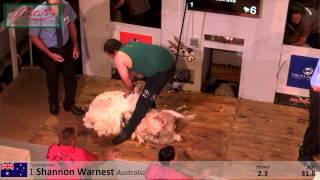 preview picture of video 'Trans Tasman Shearing Test (Lister) - 2015 Golden Shears'