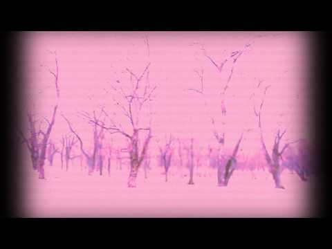 Apacz z wolnej Vvoli - Walk Alone