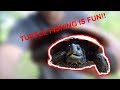 How To Catch Turtles On A Rod And Reel!!!