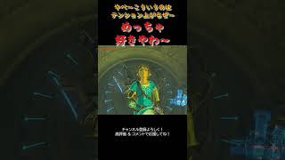 【ゼルダの伝説】こういう仕掛け、テンション上がる🔥😎 #korokseeds #ゲーム実況 #adventureawaitsbotw #ゲーム実況 #ゼルダの伝説  #ゼルダの伝説ブレスオブザワイルド