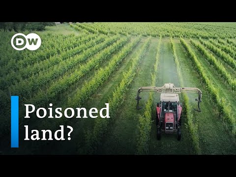 Is Parkinson's disease related to pesticide use? | DW Documentary