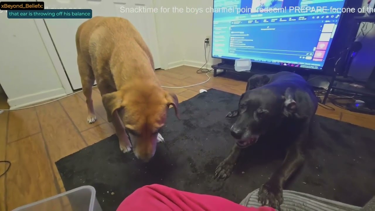 youtube VOD