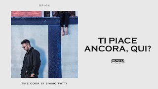 BRIGA - 10 - TI PIACE ANCORA, QUI?