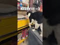 His Name Is Tux 3