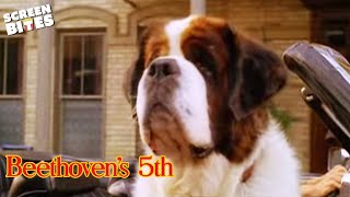 Beethoven's 5th (2003) Video