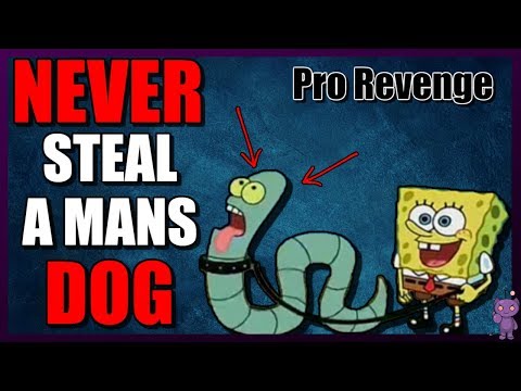 Pro Revenge | NEVER Mess With A Mans DOG!!