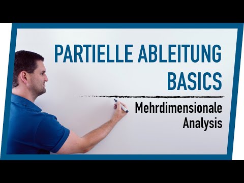 Partial Derivative Basics | Multidimensional Analysis | Math by Daniel Jung