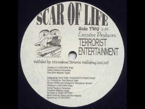 Microphone Terrorist - Scar Of Life (199x)
