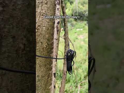 vandals or animals?? #animals #vandal #woodland #nature #offgrid #homestead