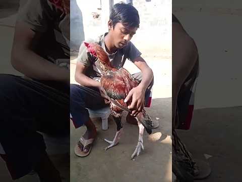 #shorts #subscribe #atishay