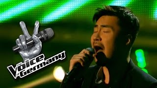 Bad Day - Daniel Powter | Jong David Lee Cover | The Voice of Germany 2015 | Audition