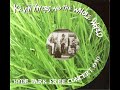 04   Hat Song