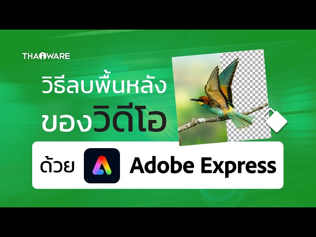   วิธีลบพื้นหลังออกจากวิดีโอง่าย ๆ ในคลิกเดียวด้วย AI จาก Adobe Express