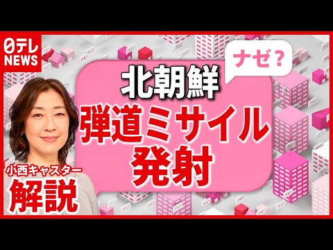 キプリノドンティメについて詳しく解説