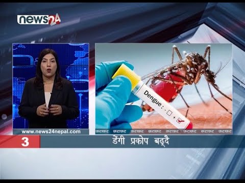 EVENING NEWS FATAFAT - NEWS24 TV